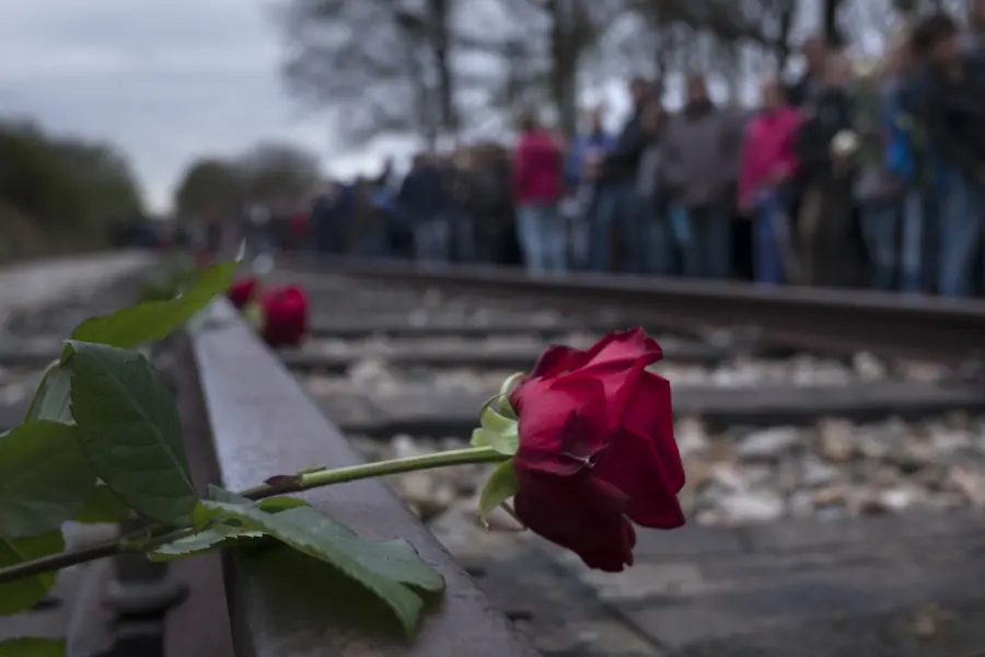 Een roos op de rails als eerbetoon bij Kamp Westerbork
