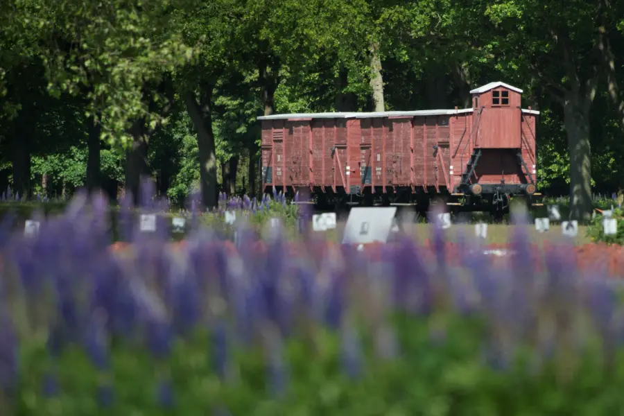 De wagon op het voormalige kampterrein van Kamp Westerbork, tussen de bloemen
